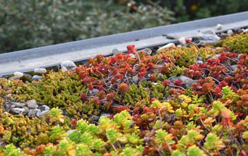 the cost of Narberth green roof installation