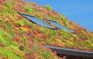 Narberth living roof systems