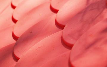 Narberth plastic roof costs